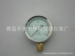 青岛平度市华强仪器仪表厂 定制化专用压力表及仪器仪表产品列表